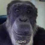 Смайлы