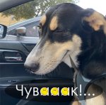 Смайлы