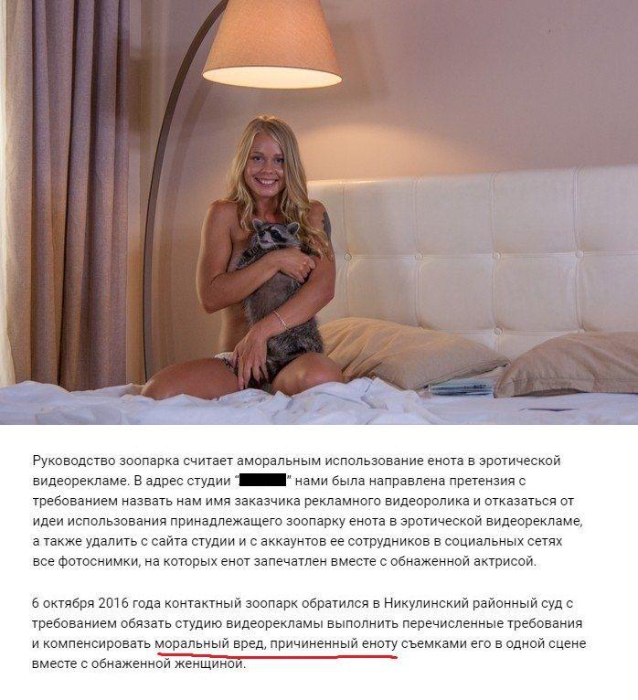 Московский зоопарк требует возместить моральный вред еноту, участвовавшему в эротической фотосесси 