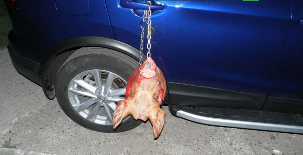В парковочных войнах в Чебоксарах свинья осталась крайняя