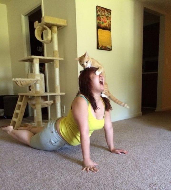 Вестник социальных сетей