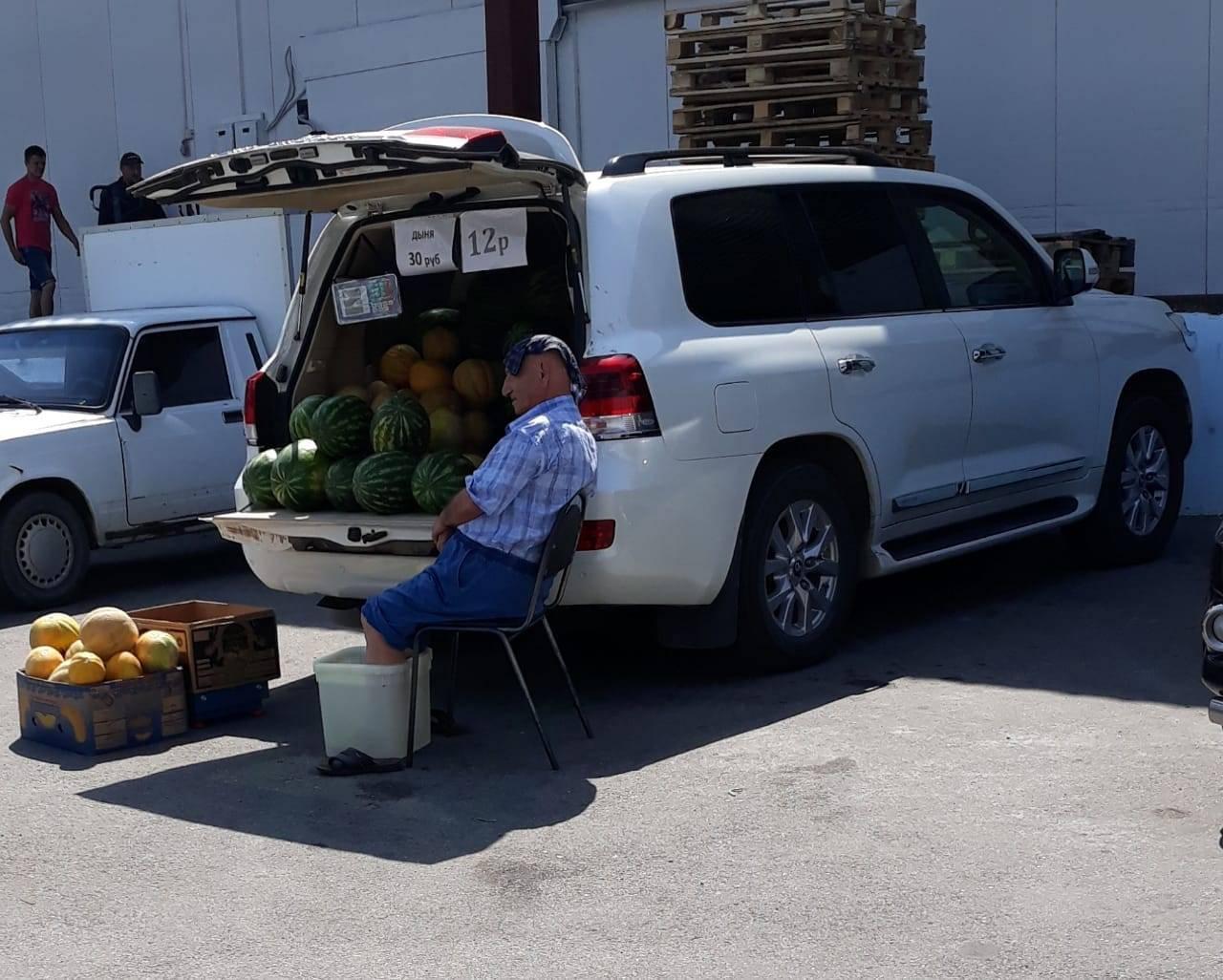 Вестник социальных сетей