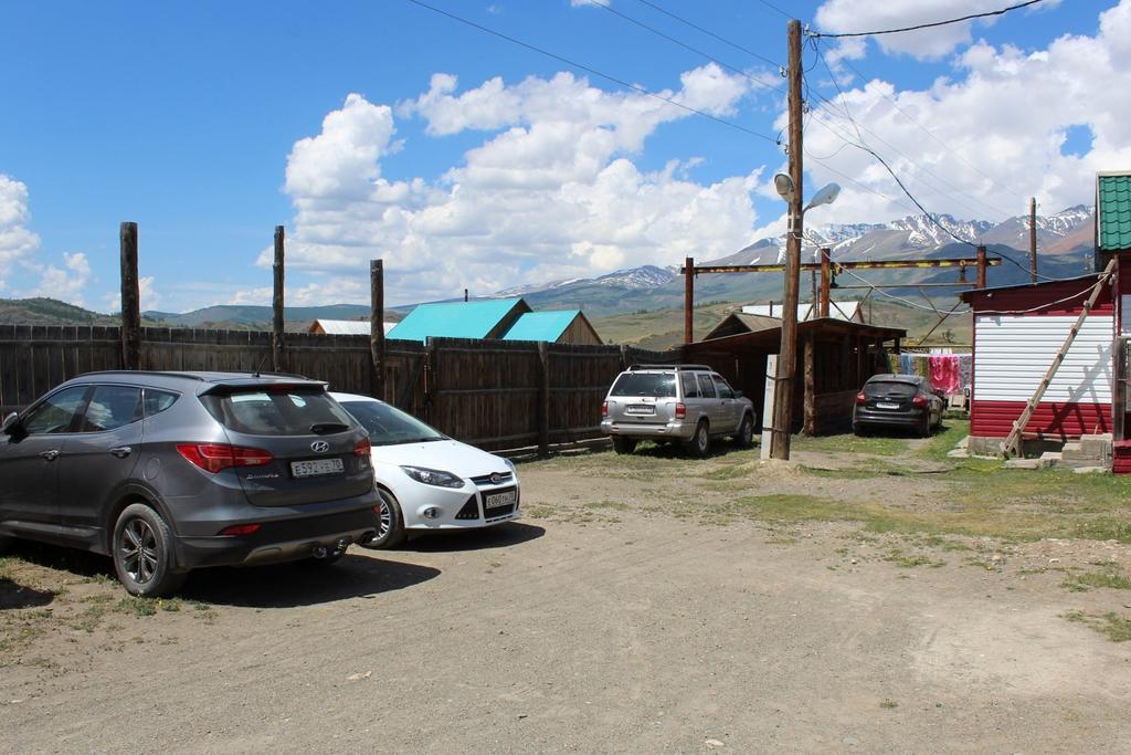 Вестник социальных сетей