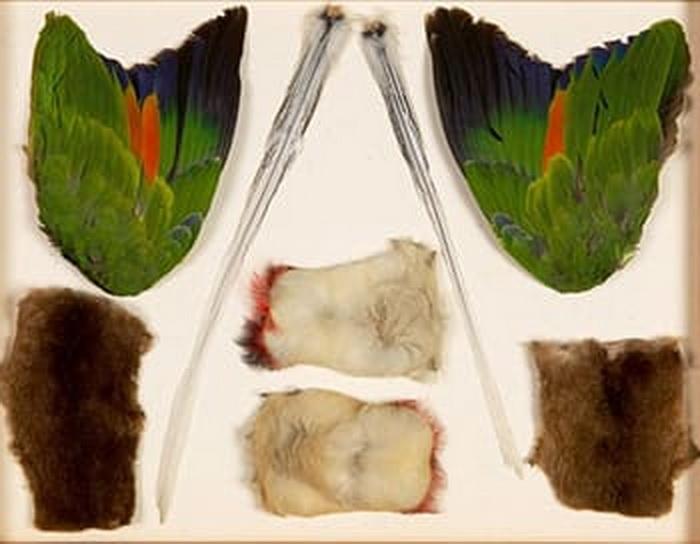 7 грабежей в стиле Одиннадцати друзей Оушена (которые произошли в реальной жизни