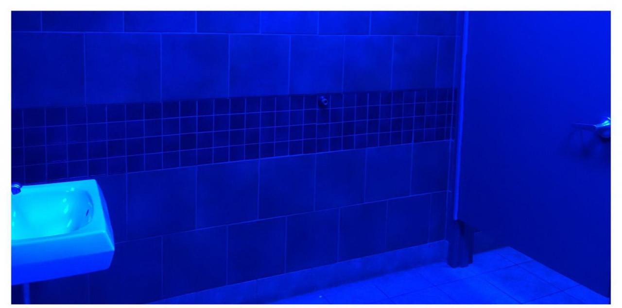 Ночной клуб туалет видео. Синяя подсветка. Туалет с голубой подсветкой. Туалет с синим светом. Синее освещение в туалетах.