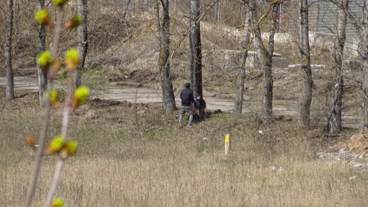 По родным просторам