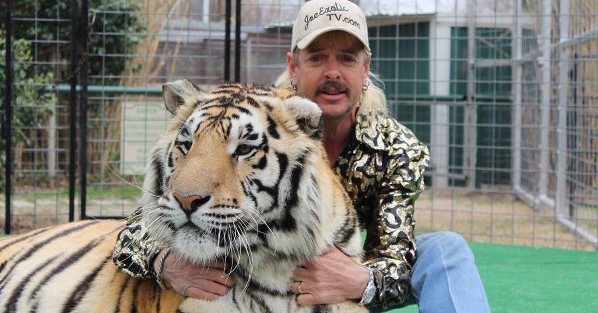 Король тигров - головокружительная история Джо Экзотика