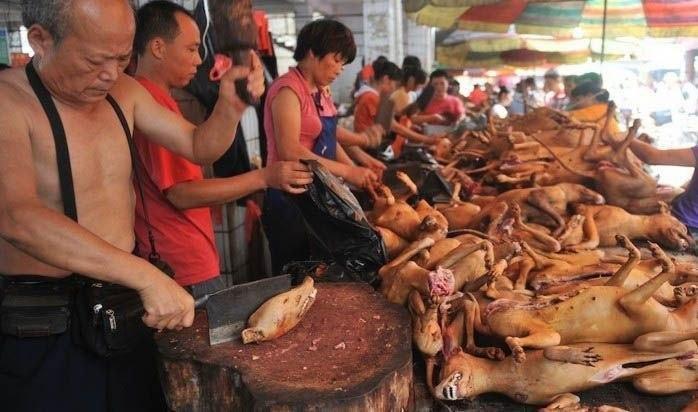 Сегодня в китайском городе Юйлинь открылся ежегодный фестиваль собачьего мяса.