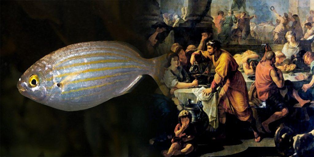 Страх и ненависть в Древнем Риме: галлюциногенная рыба, которой упарывались в античности