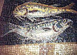 Страх и ненависть в Древнем Риме: галлюциногенная рыба, которой упарывались в античности