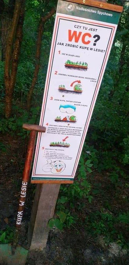 «Как какать в лесу?» — в Польше установили информационные таблички о правилах дефекации на природе