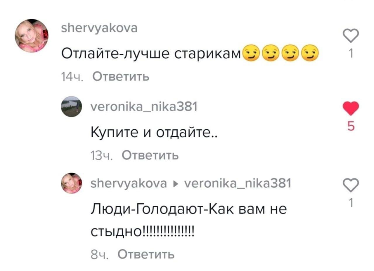Блогеру рассказали, что стыдно кормить собак говядиной - это могут увидеть пенсионеры