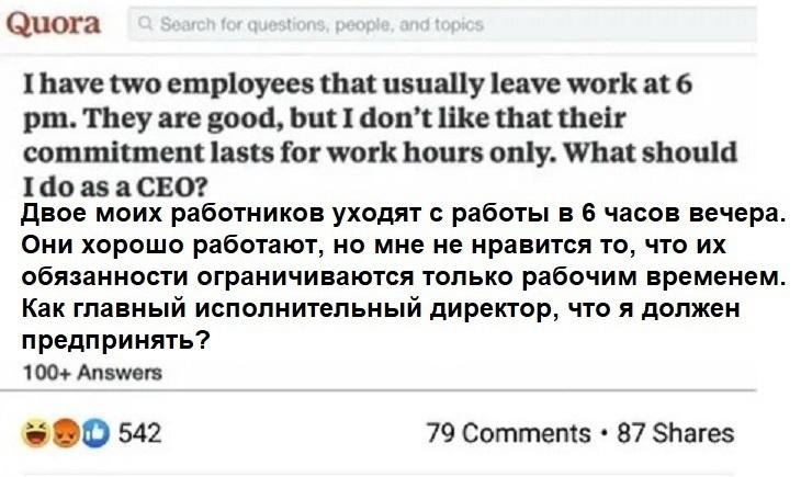 Совет главному исполнительному директору