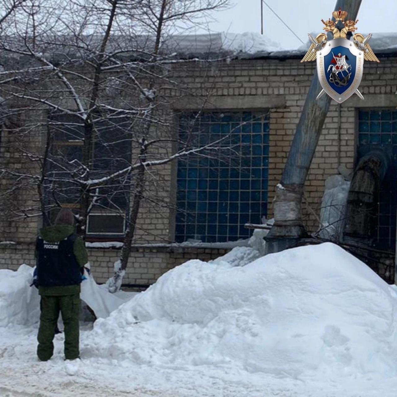 Директор нижегородского предприятия, решив лично показать как надо убирать ледяные наросты - в итоге погиб под сосулькой.