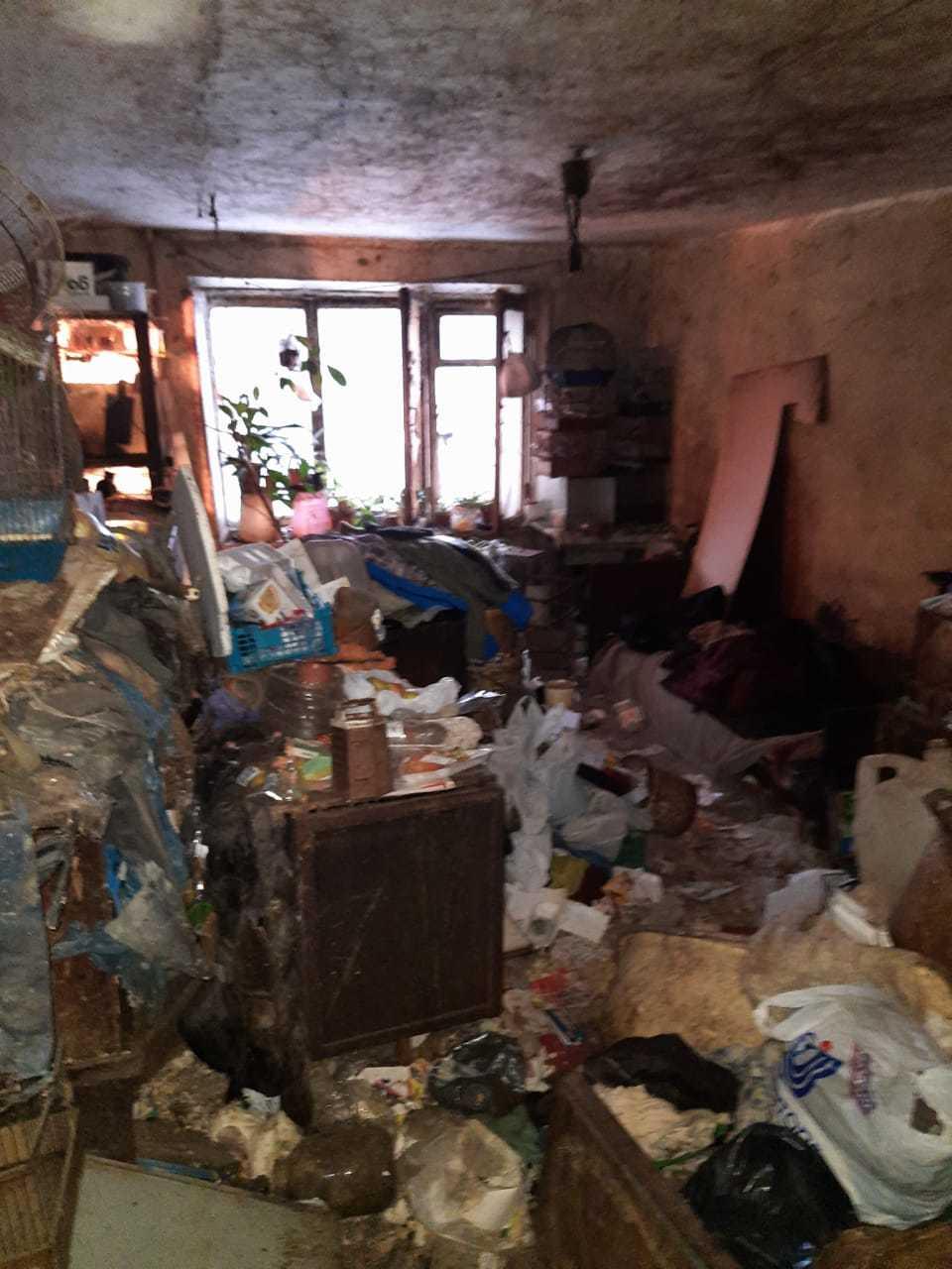 Трупы котов летели из окон: полиция и МЧС пришли в ужас, вскрыв смердящую квартиру любительницы животных