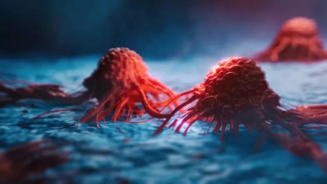  Ученые приступили к I фазе клинических испытаний экспериментального вируса, уничтожающего рак