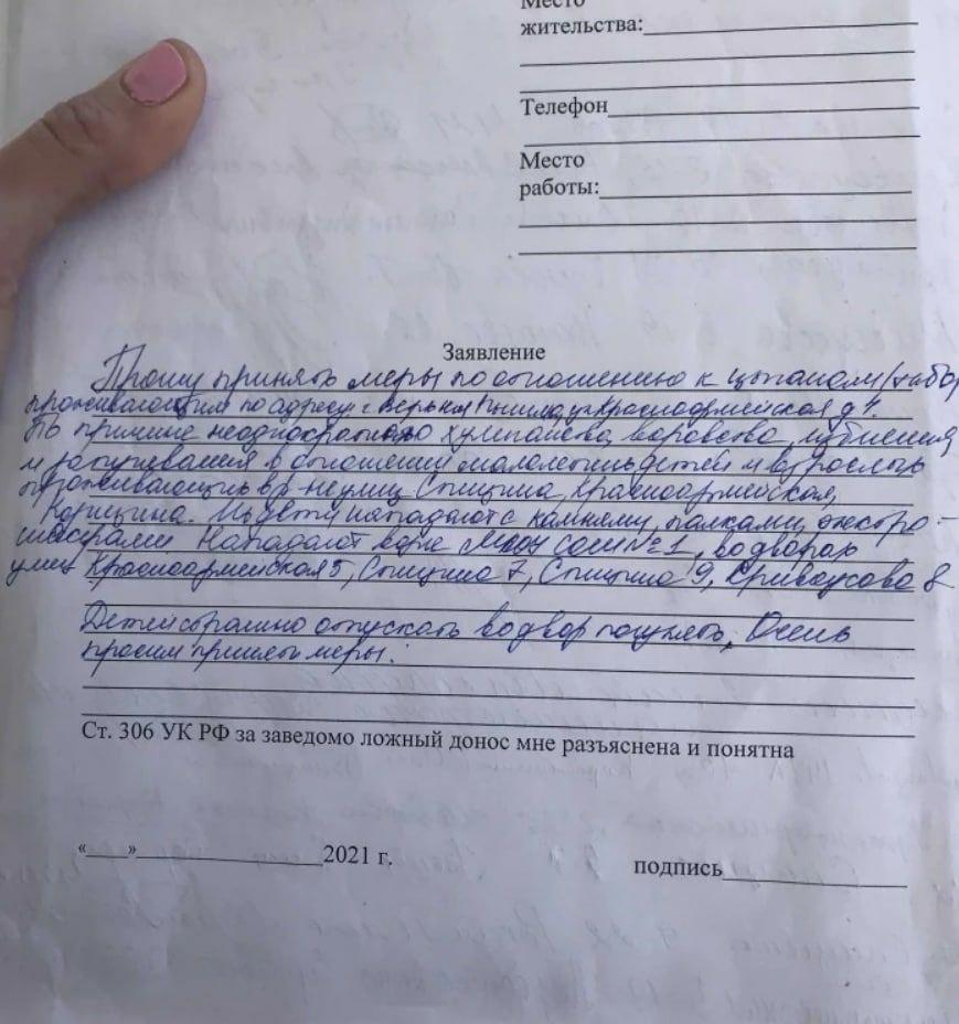 В Верхней Пышме Свердловской области цыгане регулярно избивают, грабят детей и вымогают деньги