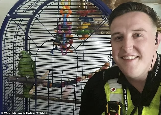 Английские полицейские вломились в дом зовущей на помощь бабки, но это оказался попугай