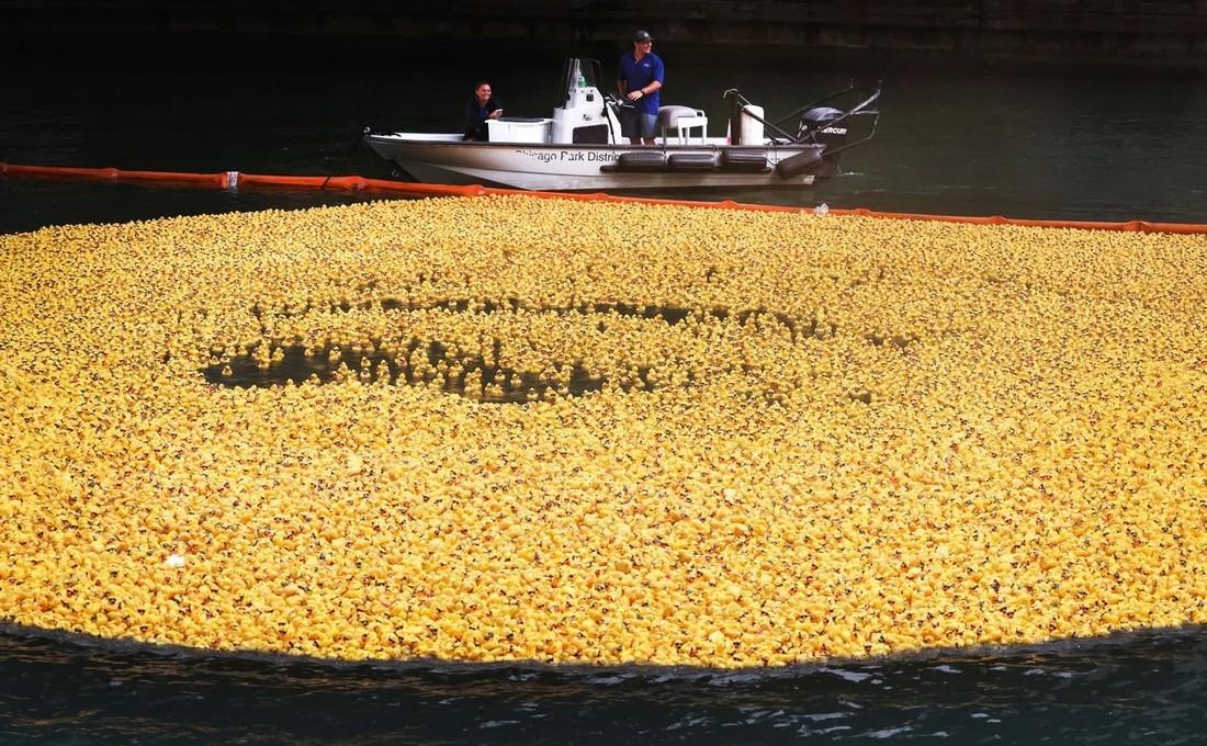 Chicago Ducky Derby 2022: более 70 000 резиновых утят выпустили в реку Чикаго