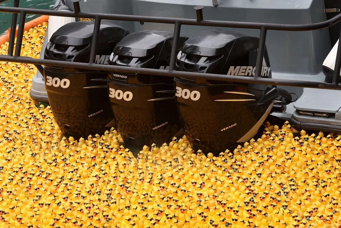 Chicago Ducky Derby 2022: более 70 000 резиновых утят выпустили в реку Чикаго