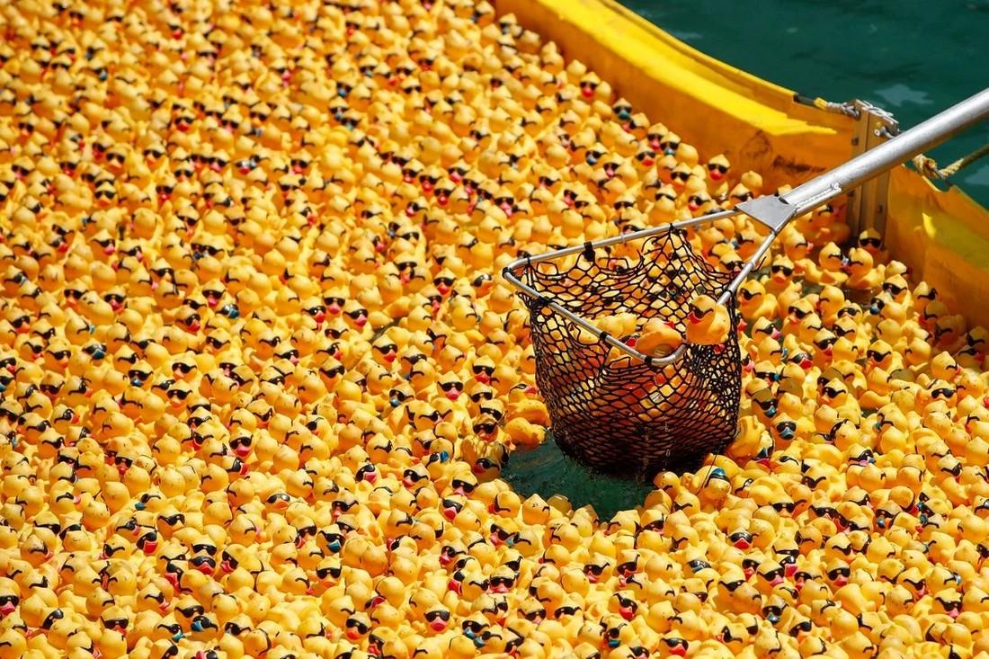 Chicago Ducky Derby 2022: более 70 000 резиновых утят выпустили в реку Чикаго