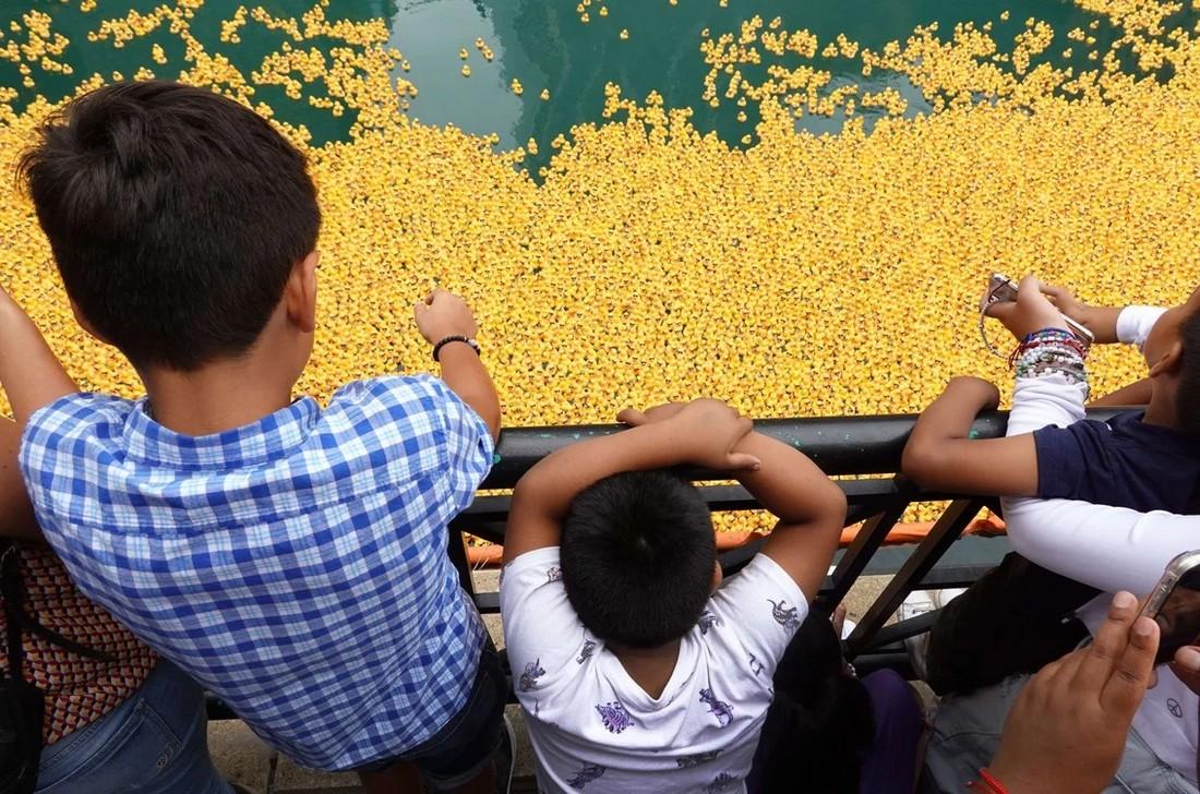 Chicago Ducky Derby 2022: более 70 000 резиновых утят выпустили в реку Чикаго