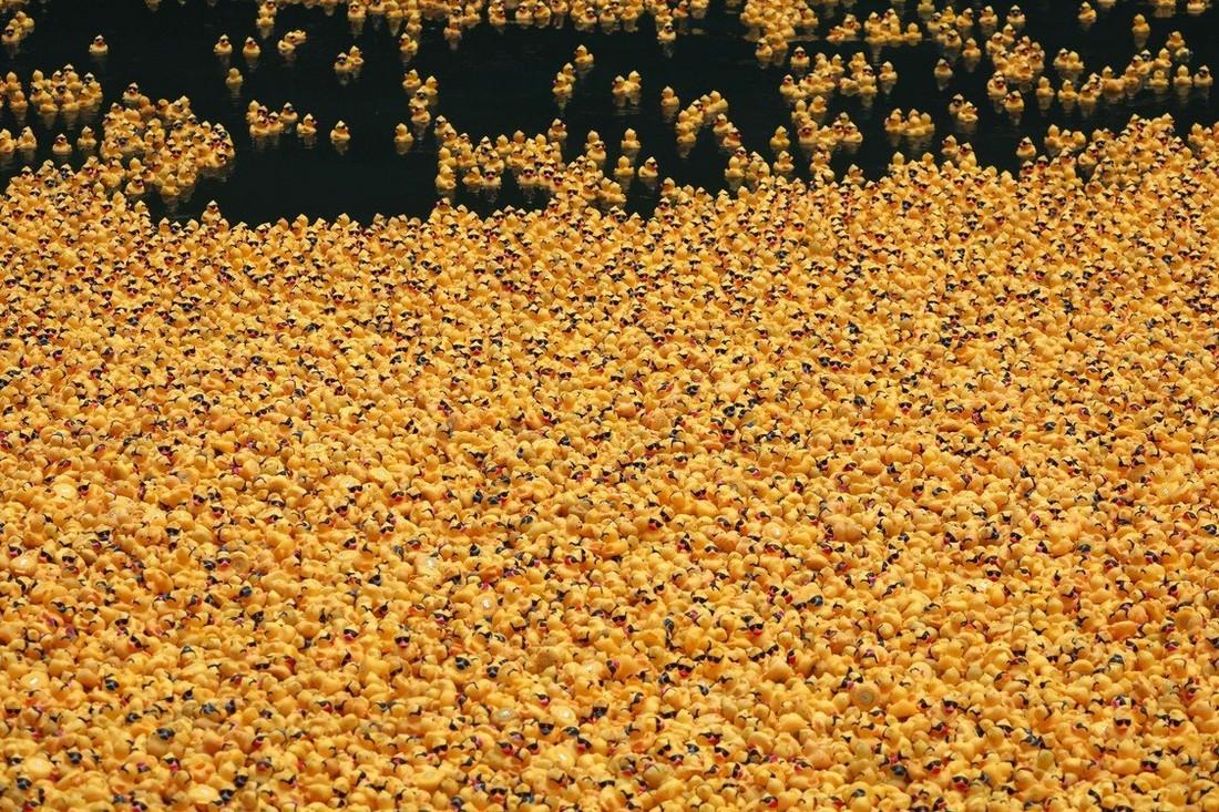 Chicago Ducky Derby 2022: более 70 000 резиновых утят выпустили в реку Чикаго