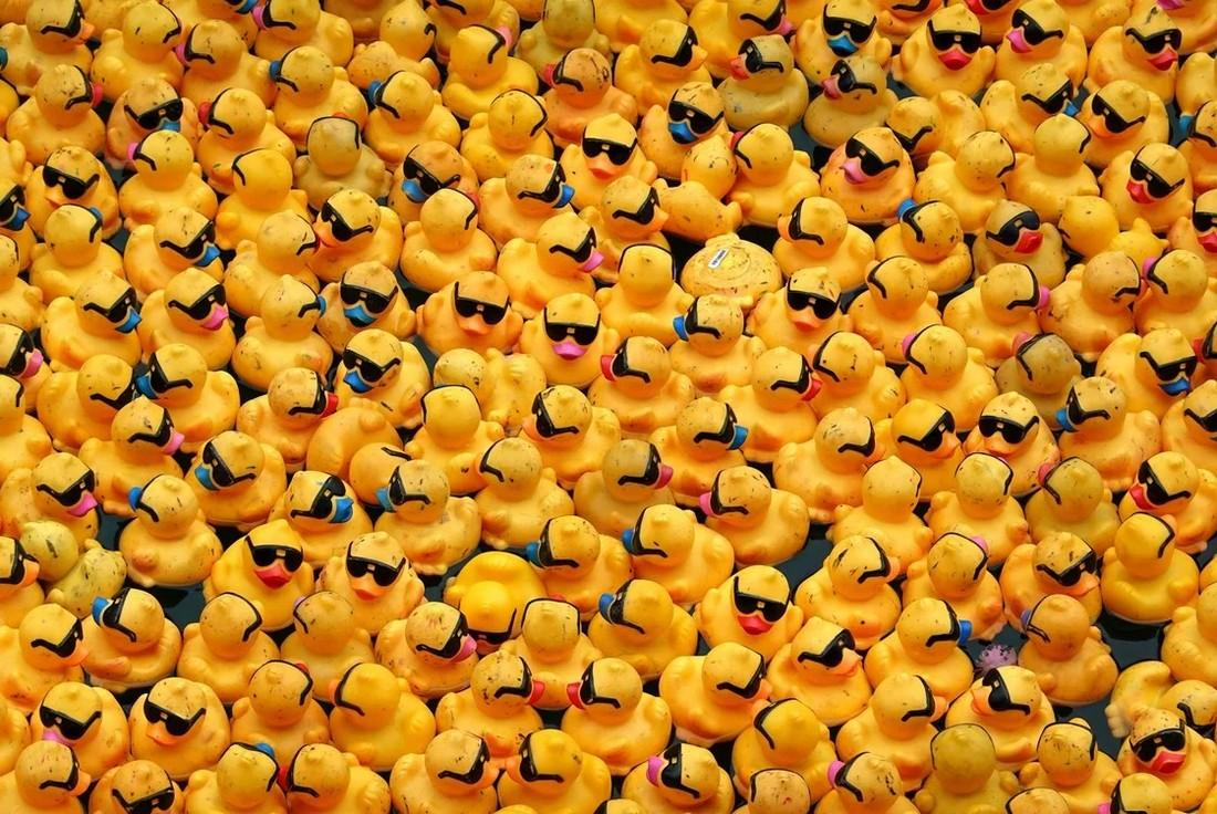 Chicago Ducky Derby 2022: более 70 000 резиновых утят выпустили в реку Чикаго
