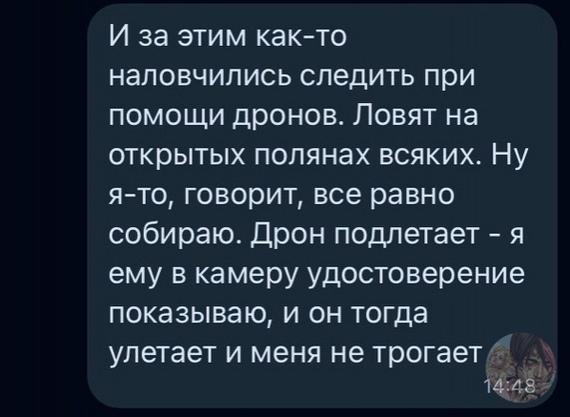 Киберпанк, который мы заслужили