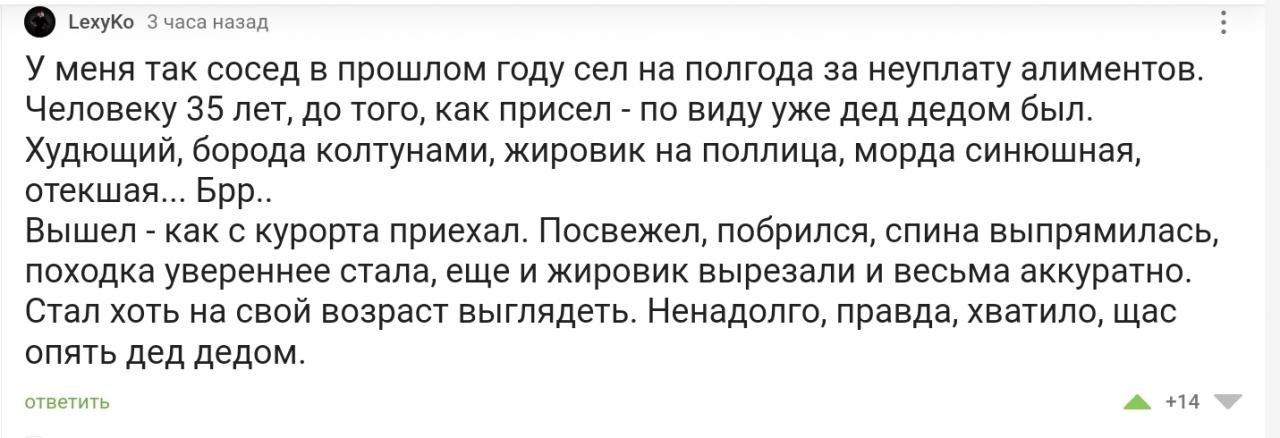 Нативная реклама лагерей ФСИН