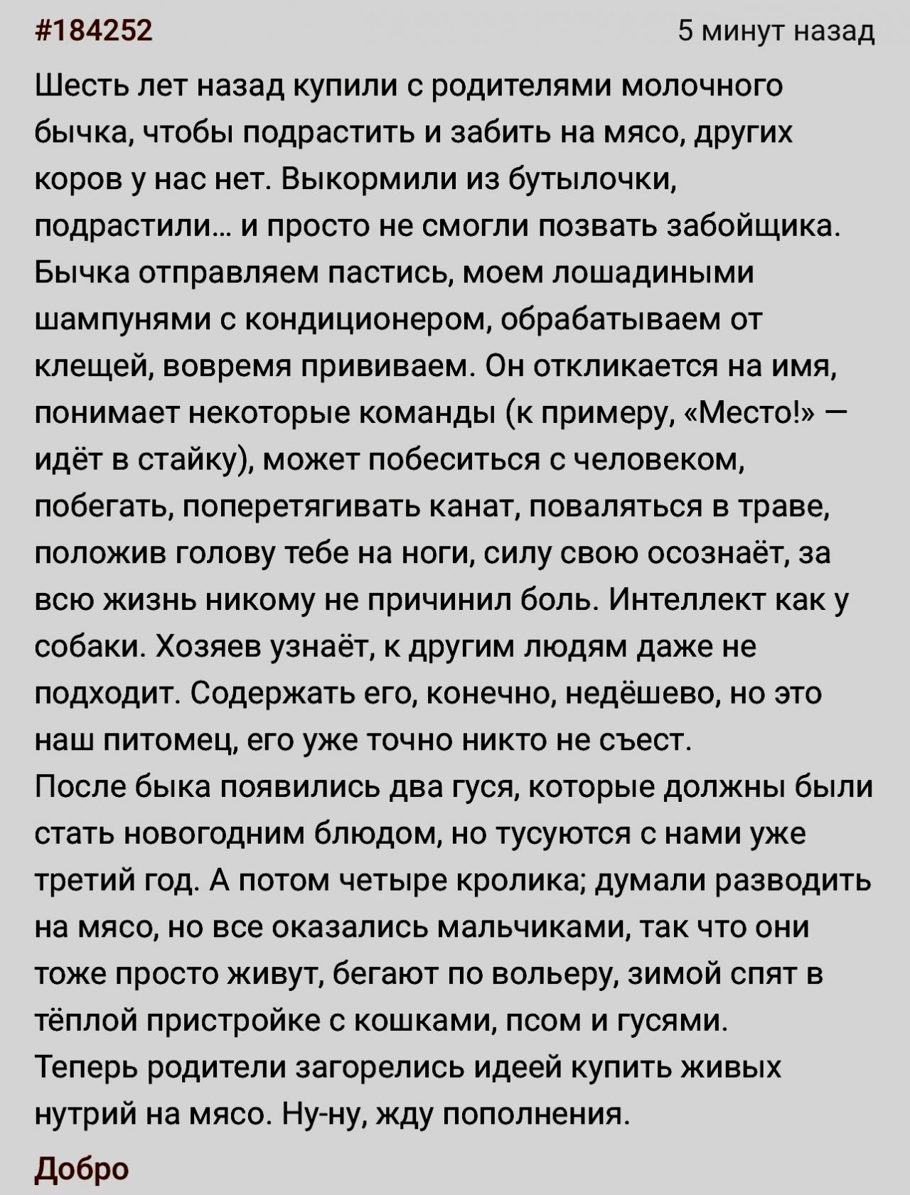 У нас было 2 гуся, 4 кролика, бык, собака и бесконечное множество кошек всех пород....