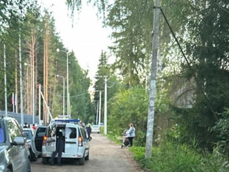 «Быстрее, иначе колени прострелю»: банда подростков терроризирует поселок под Петербургом