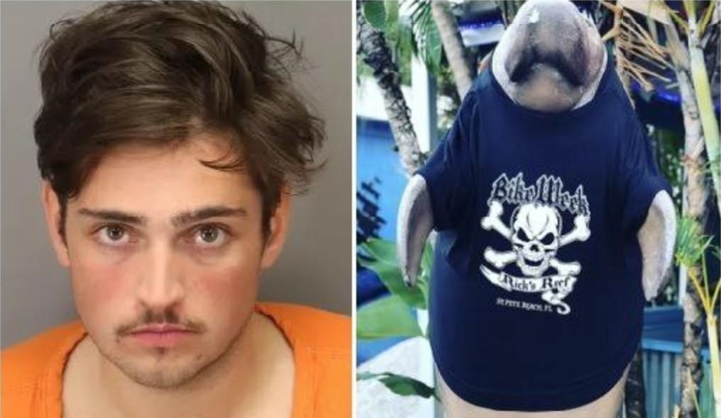 Пьяный турист изнасиловал статую ламантина во Флориде