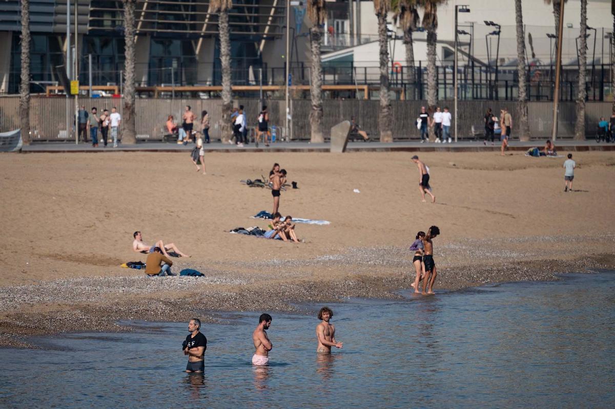 Барселона пострадала от сильной жары в середине января