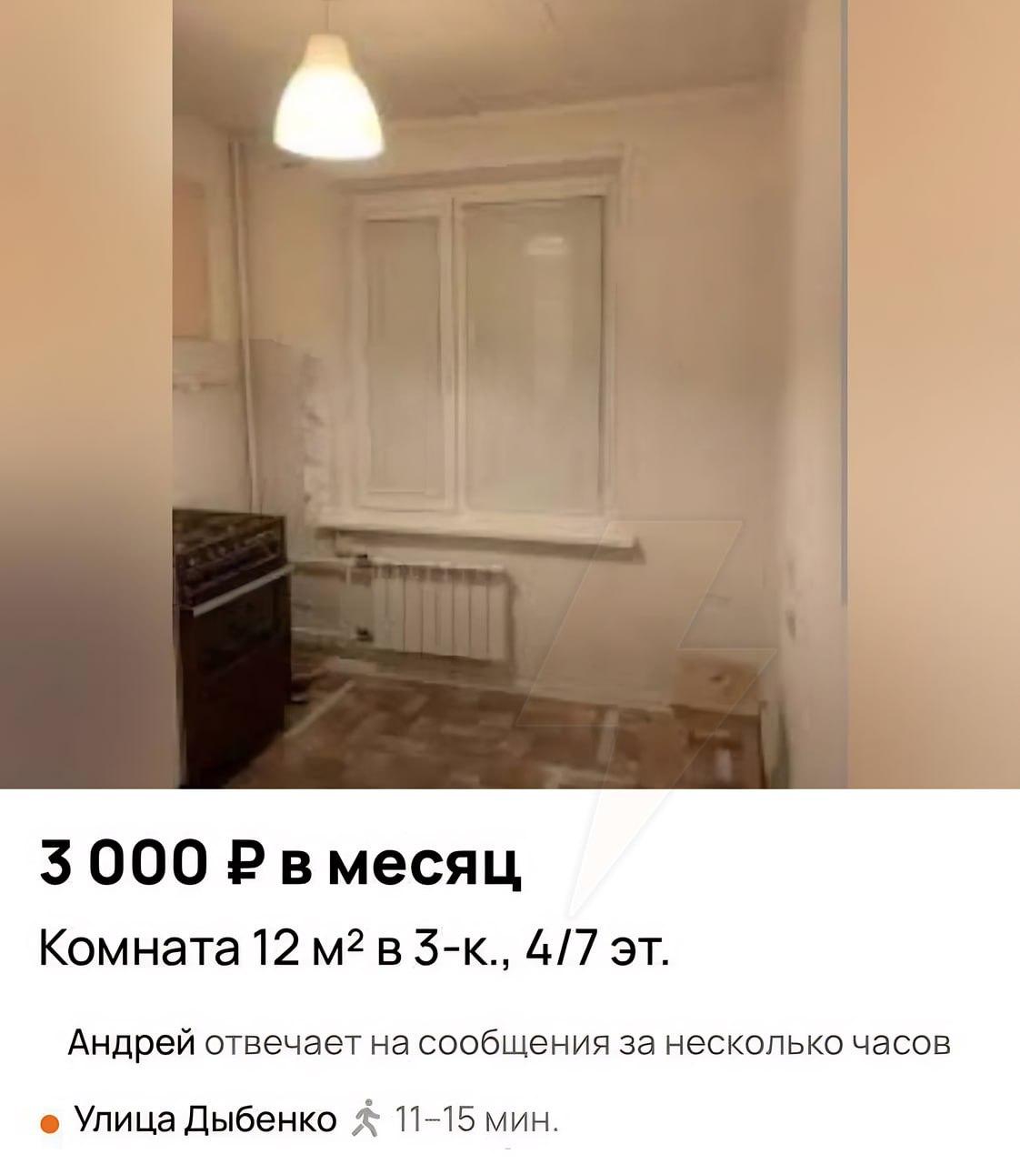 Обстановка с арендой квартир в культурной столице: