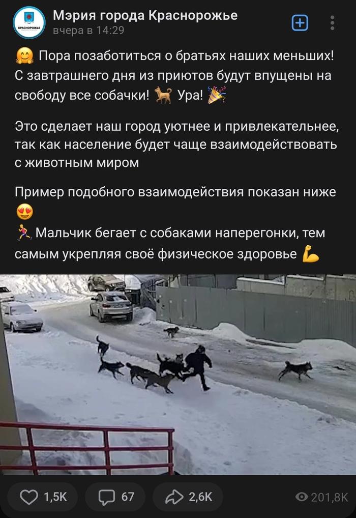 Басики будут голосовать за мэра Краснорожья!