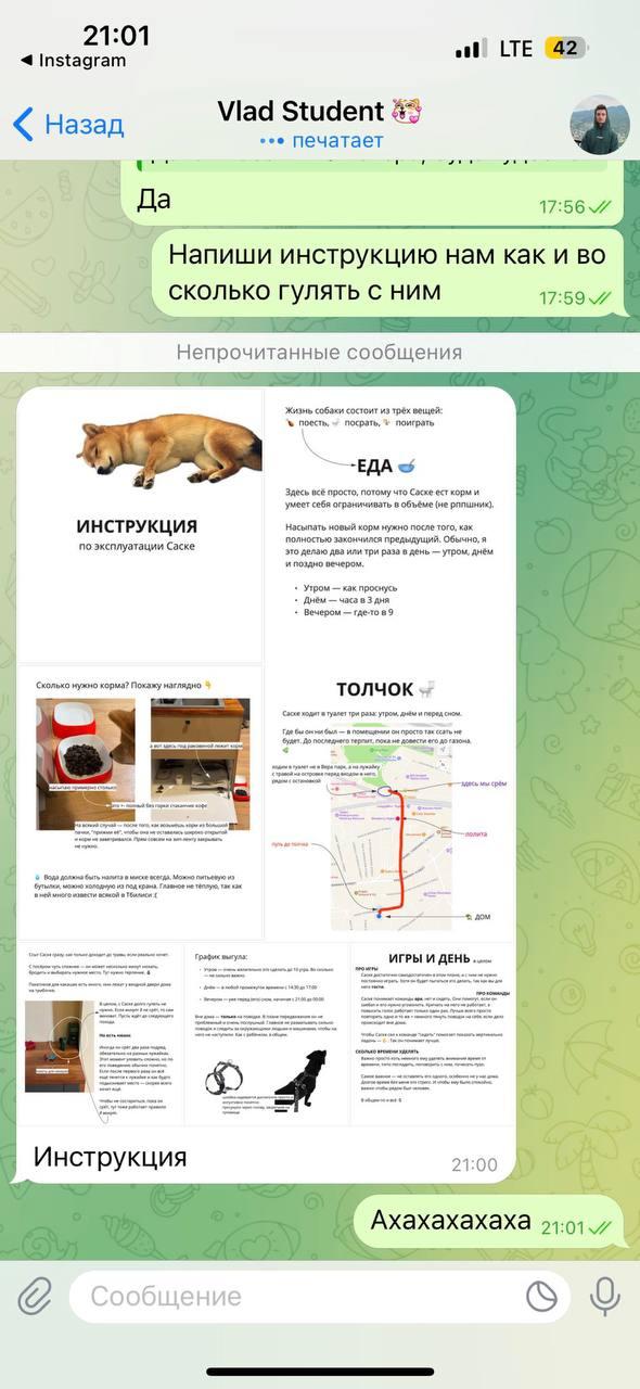 Парень поехал в отпуск и предварительно составил целую инструкцию по эксплуатации своей собаки для подруги
