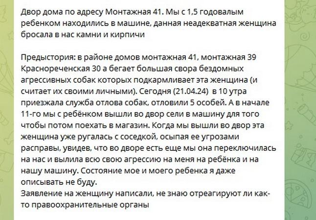 В Хабаровске неадекватная пенсионерка забросала кирпичами автомобиль с молодой женщиной и ребенком внутри.
