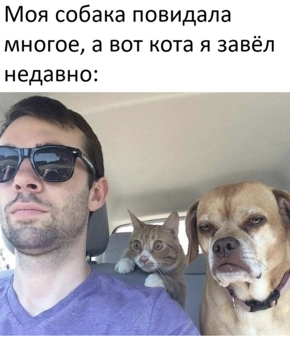 Познание жизни