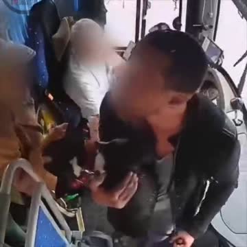  В Москве пассажир автобуса ударил водителя за просьбу надеть намордник на собаку.