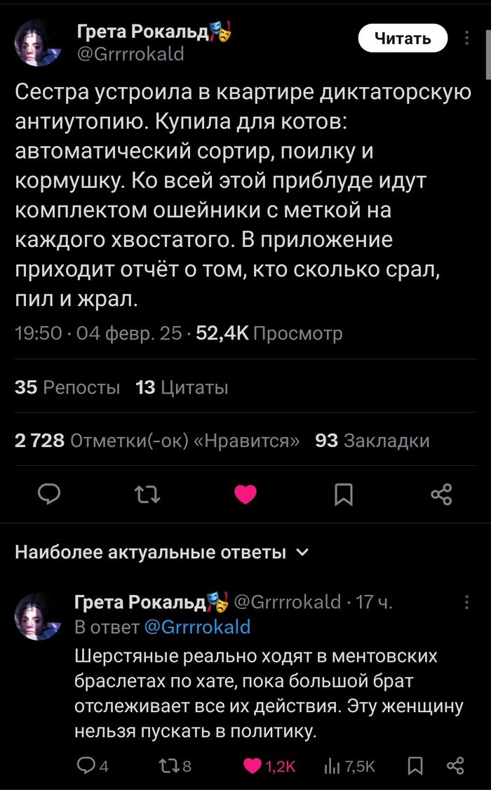 Бедные котики
