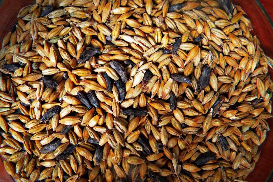 Это создание породило охоту на ведьм, и способствовало образованию Франции и Германии