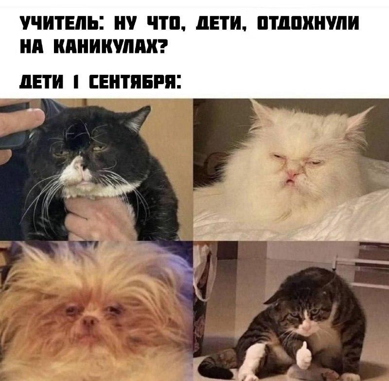 Про день знаний