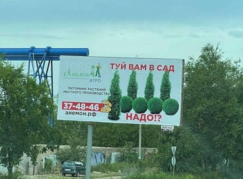 Это настоящий дендрологический триллер