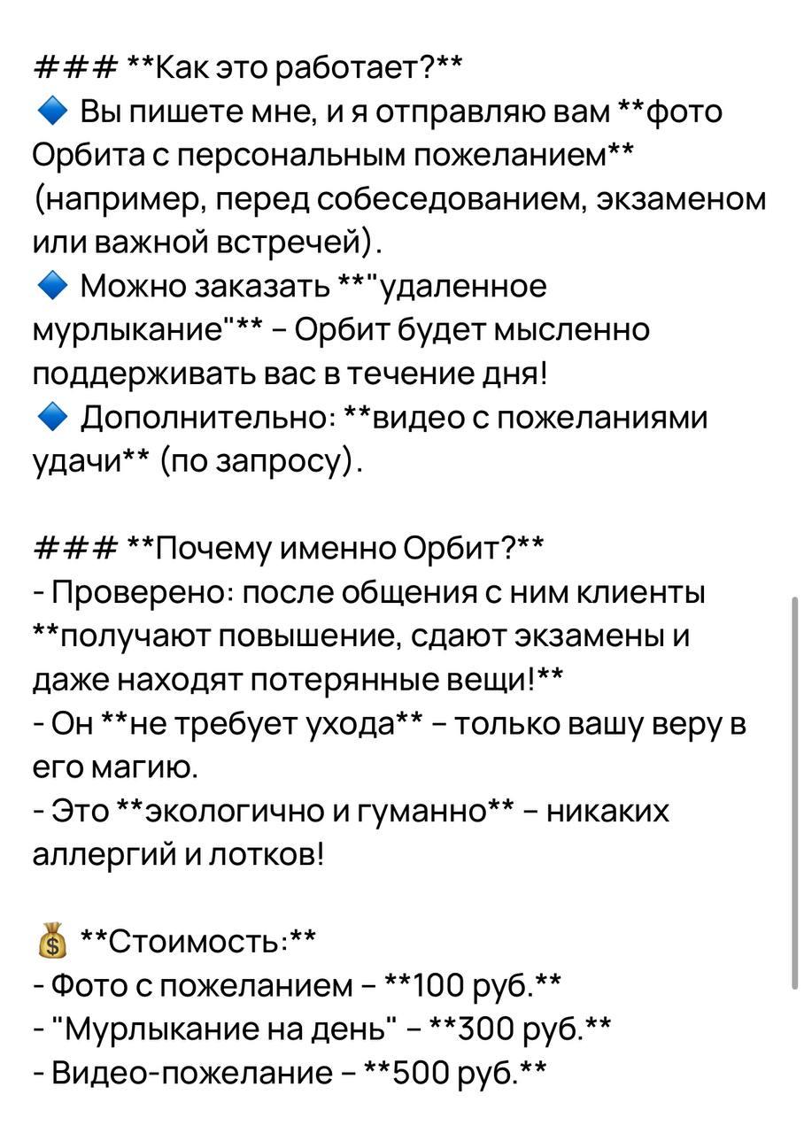 Кошачий вебкам - москвичи начали предлагать своих питомцев на маркетплейсах с услугой питомец «на расстоянии».