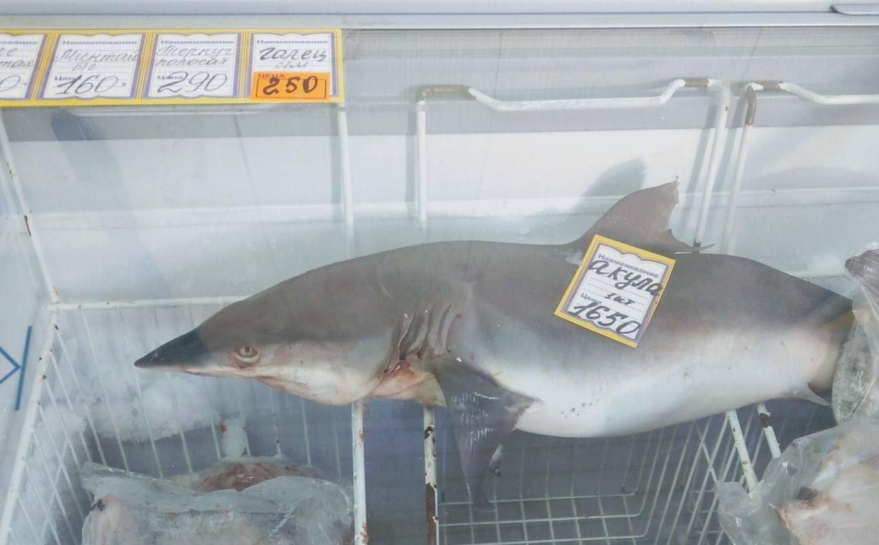 Цены на рыбу на Сахалине