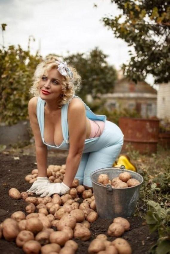 Урожайный год