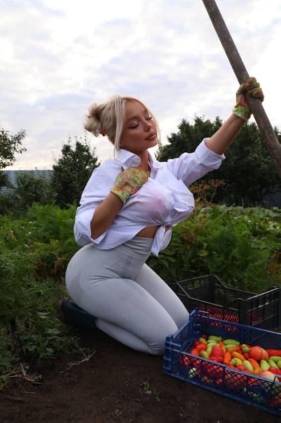 Урожайный год