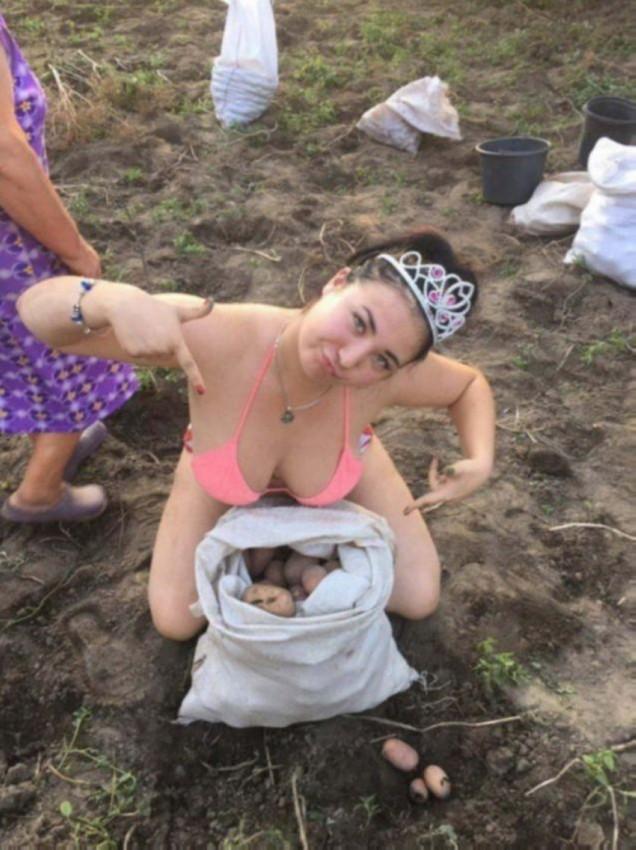 Урожайный год