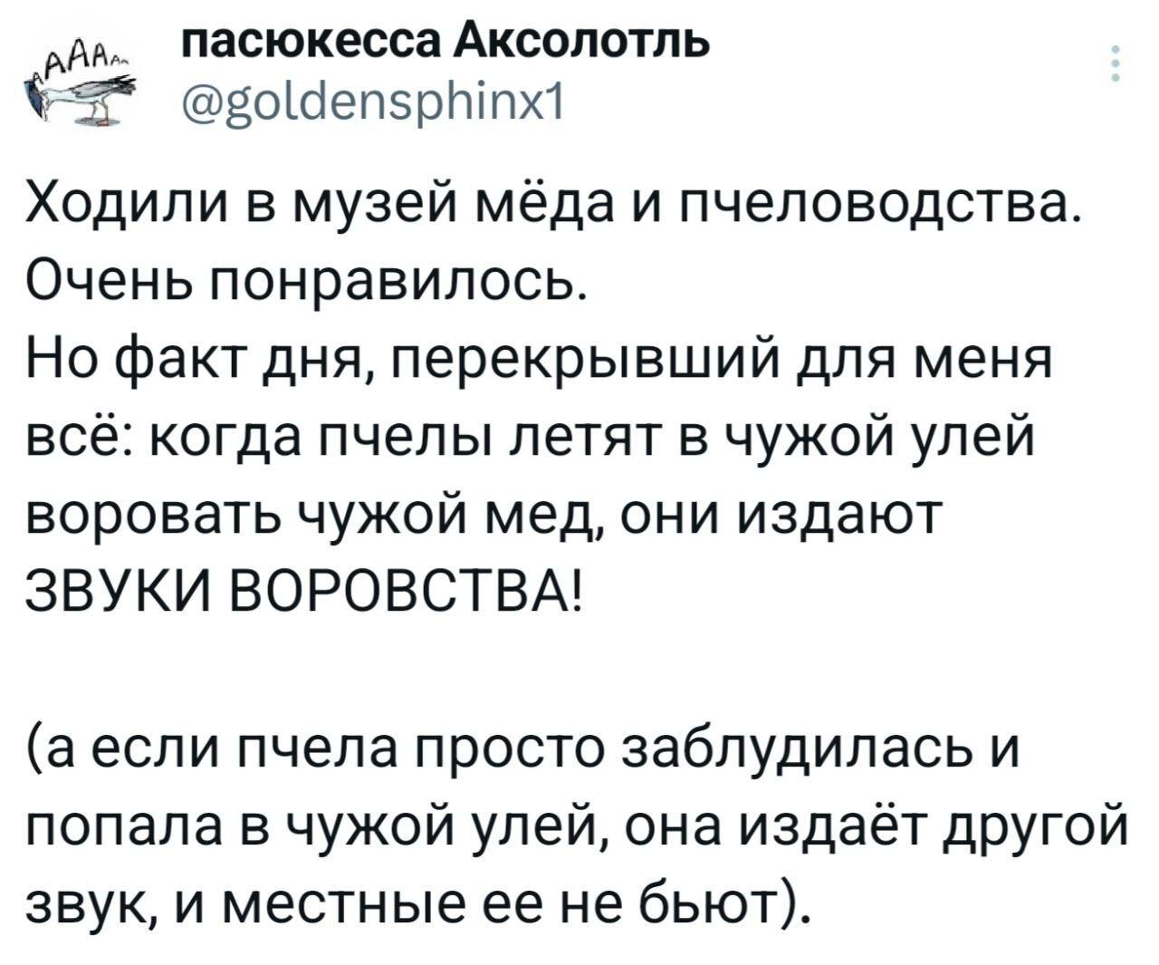 Если они звуком сообщают, что сейчас будут тырить - это уже не воровство, а грабёж!